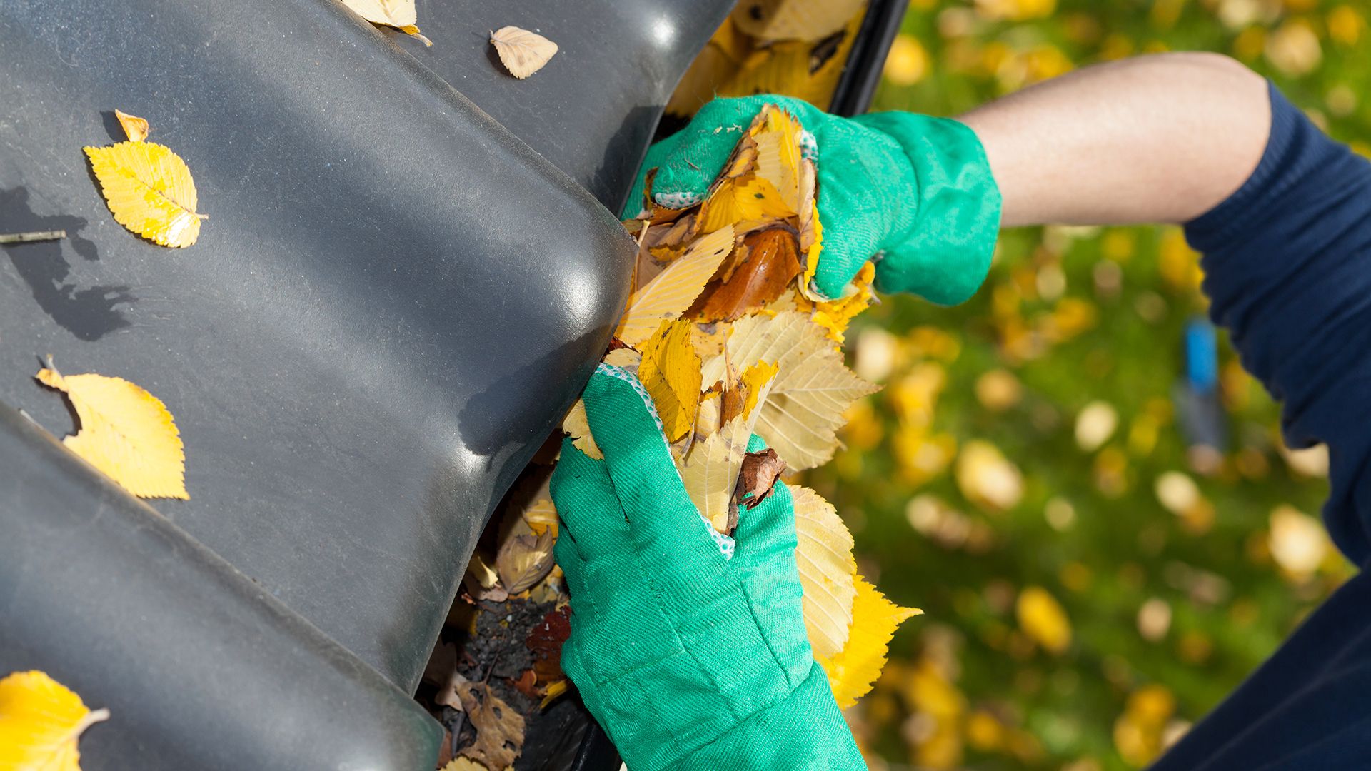 Closeup von zwei Händen mit Arbeitshandschuhen, die eine Dachrinne von Herbstblättern befreit